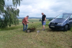 poln den 2011 - 31